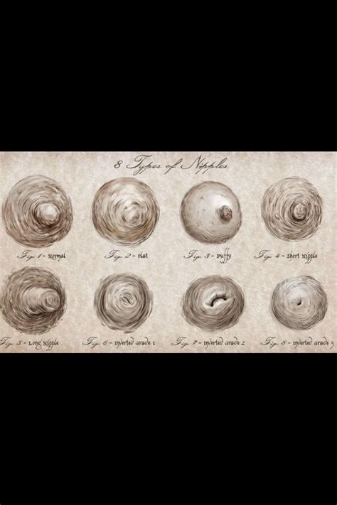 freckles boobs|There Are 8 Types of Nipples in the World